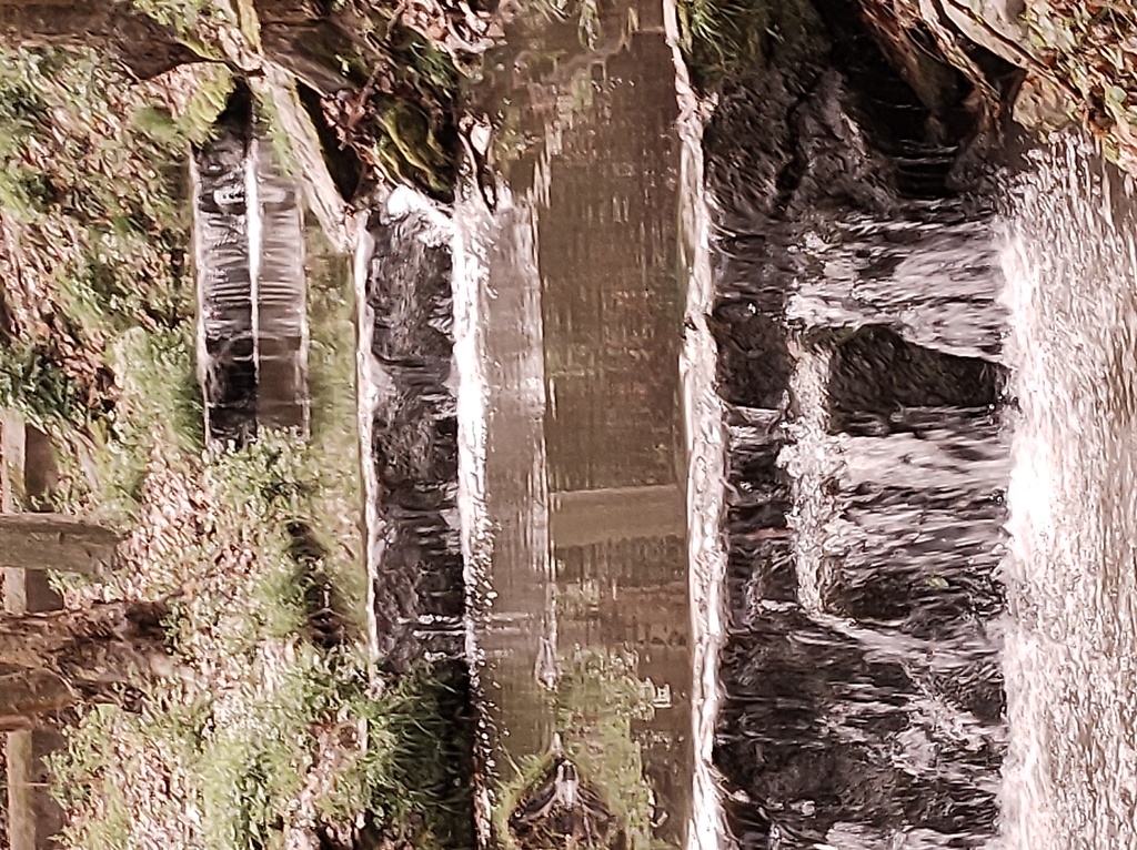 No s'ha  trobat l'arxiu